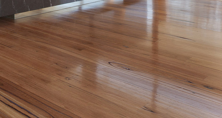 Hard Floor Polishing Hard Floor Polishing Image